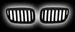 Декоративная решетка радиатора BMW X5 '03 черная