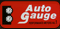 Auto Gauge